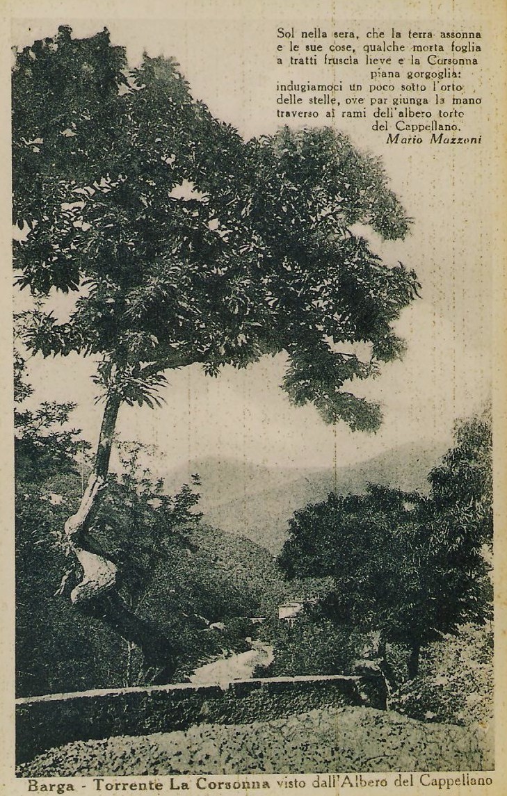 Photo of Historic Barga.